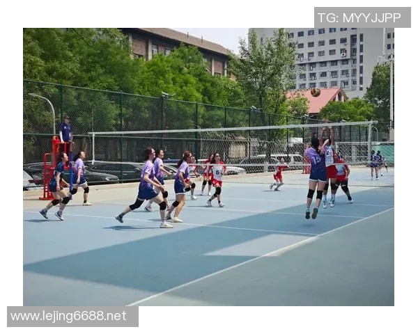 体育实时数据周敏亲自传授排球技巧与心得体会助你提升竞技水平