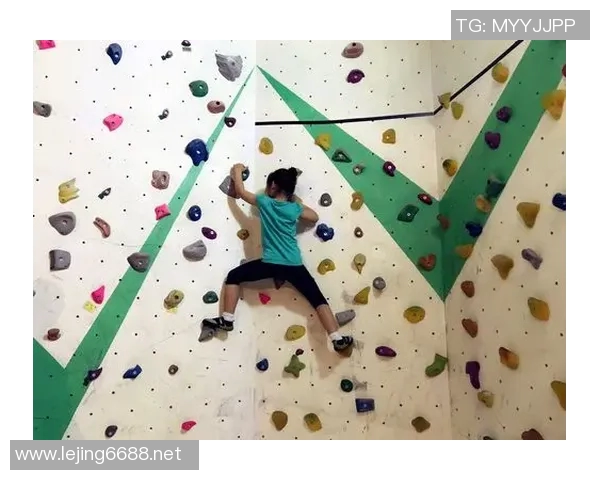 运动数据南京攀岩队成员个人能力全面对比与分析探讨 运动数据南京攀岩队成员个人能力全面对比与分析探讨